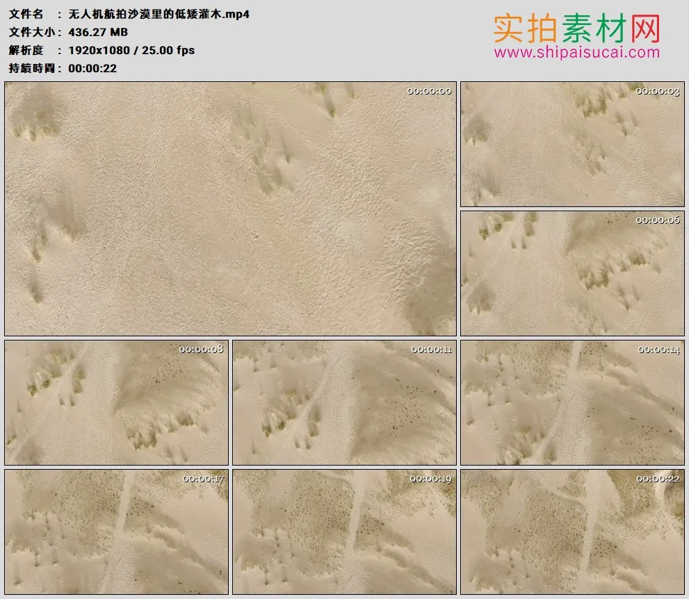 高清实拍视频素材丨无人机航拍沙漠里的低矮灌木