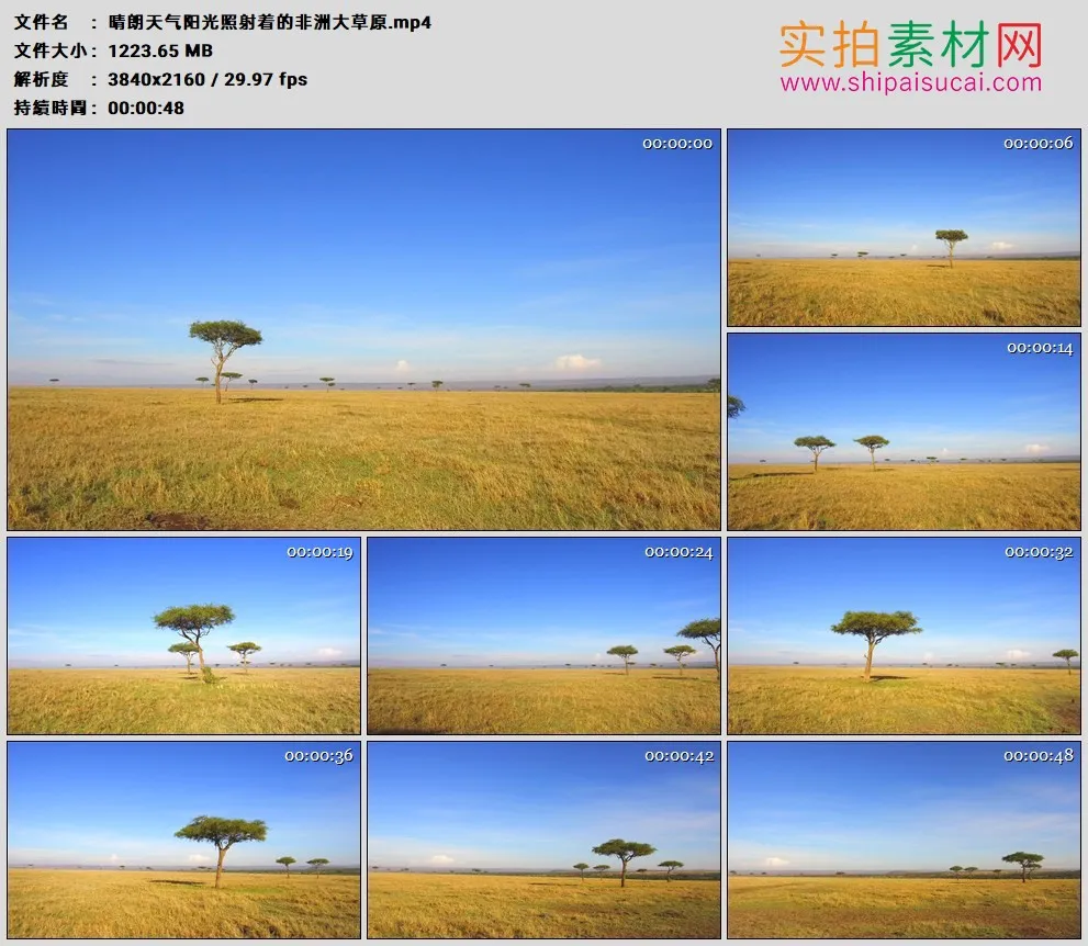 4K高清实拍视频素材丨晴朗天气阳光照射着的非洲大草原
