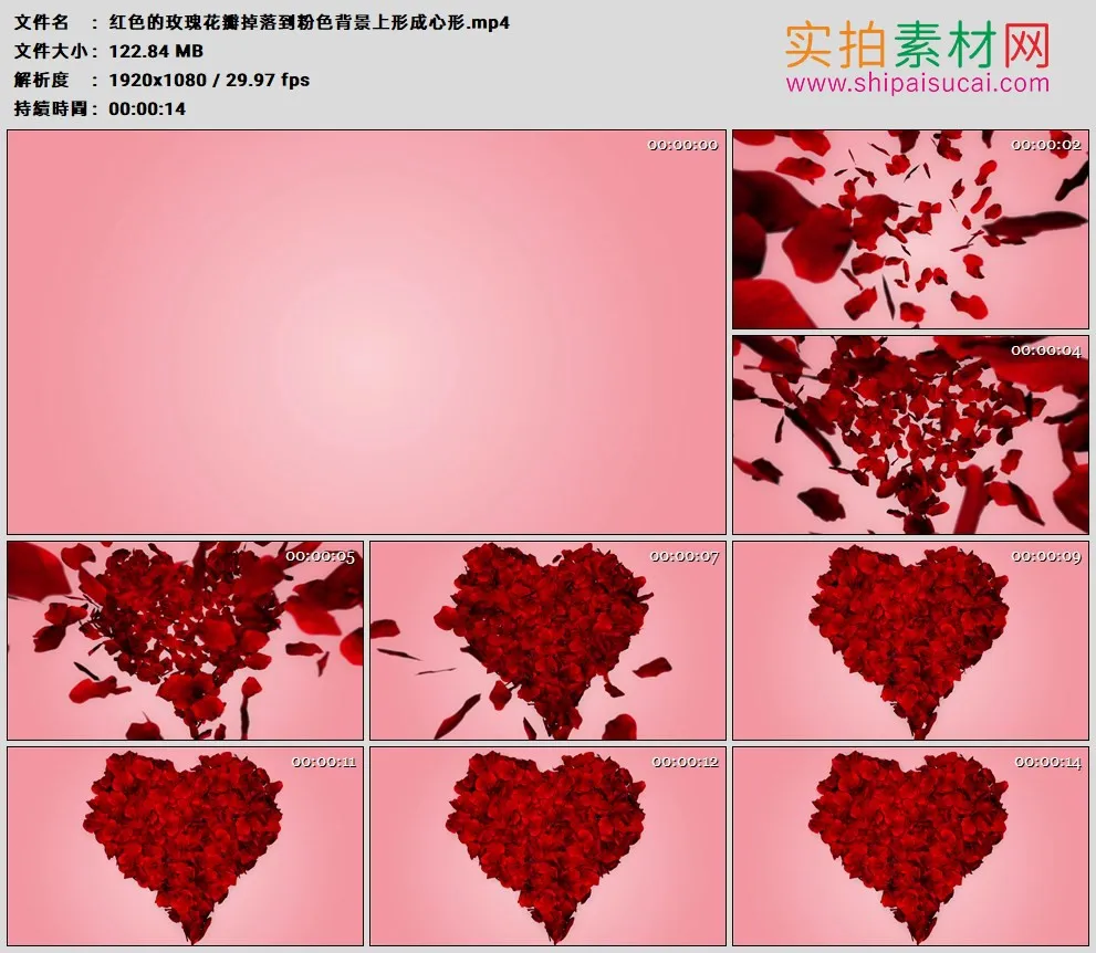 高清实拍视频素材丨红色的玫瑰花瓣掉落到粉色背景上形成心形
