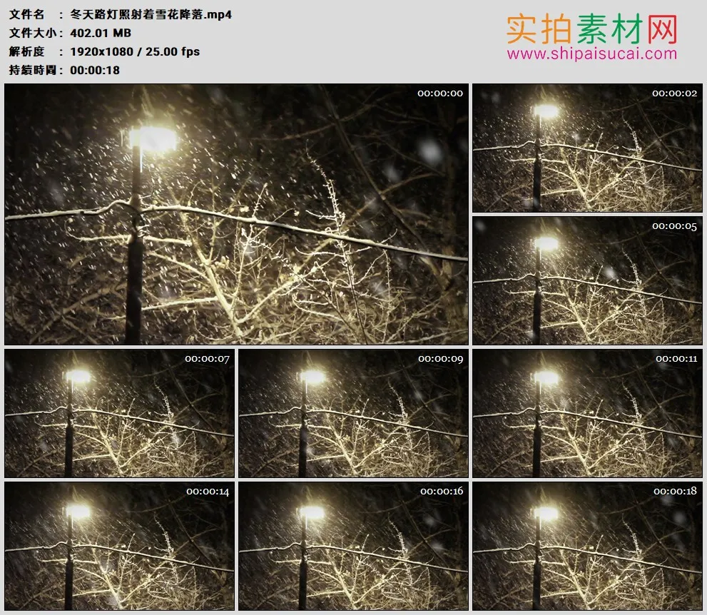 高清实拍视频素材丨冬天路灯照射着雪花降落