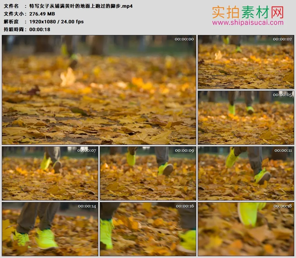 高清实拍视频素材丨特写女子从铺满黄叶的地面上跑过的脚步