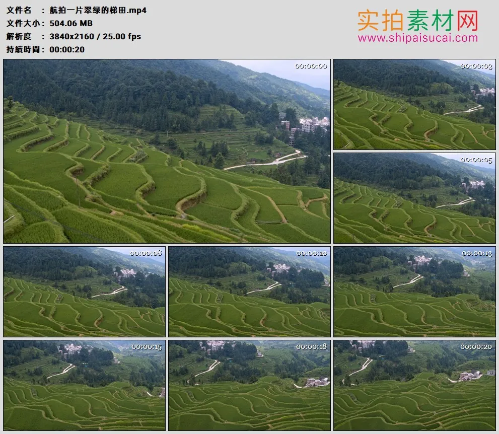 4K高清实拍视频素材丨航拍一片翠绿的梯田