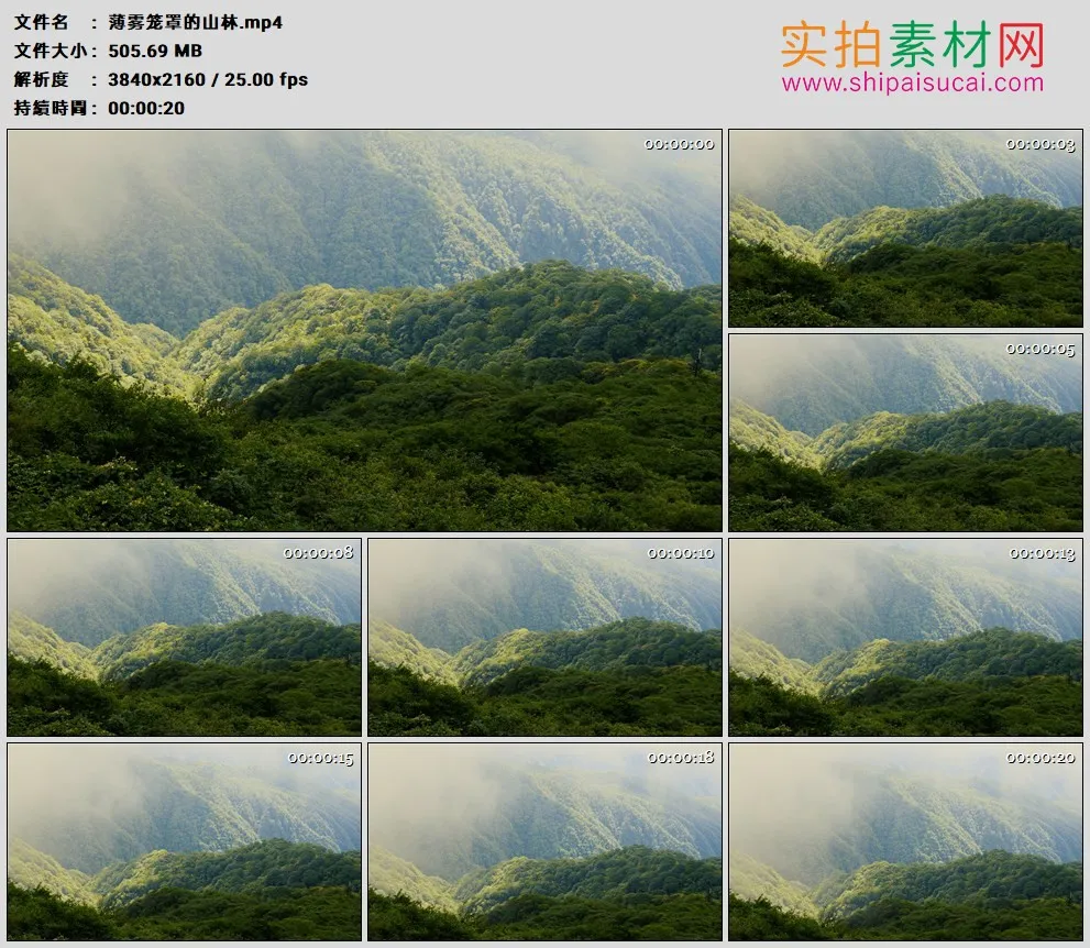 4K高清实拍视频素材丨薄雾笼罩的山林