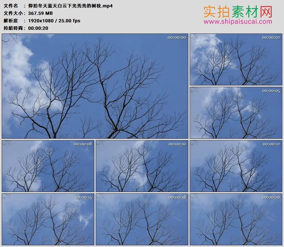 高清实拍视频素材丨仰拍冬天蓝天白云下光秃秃的树枝