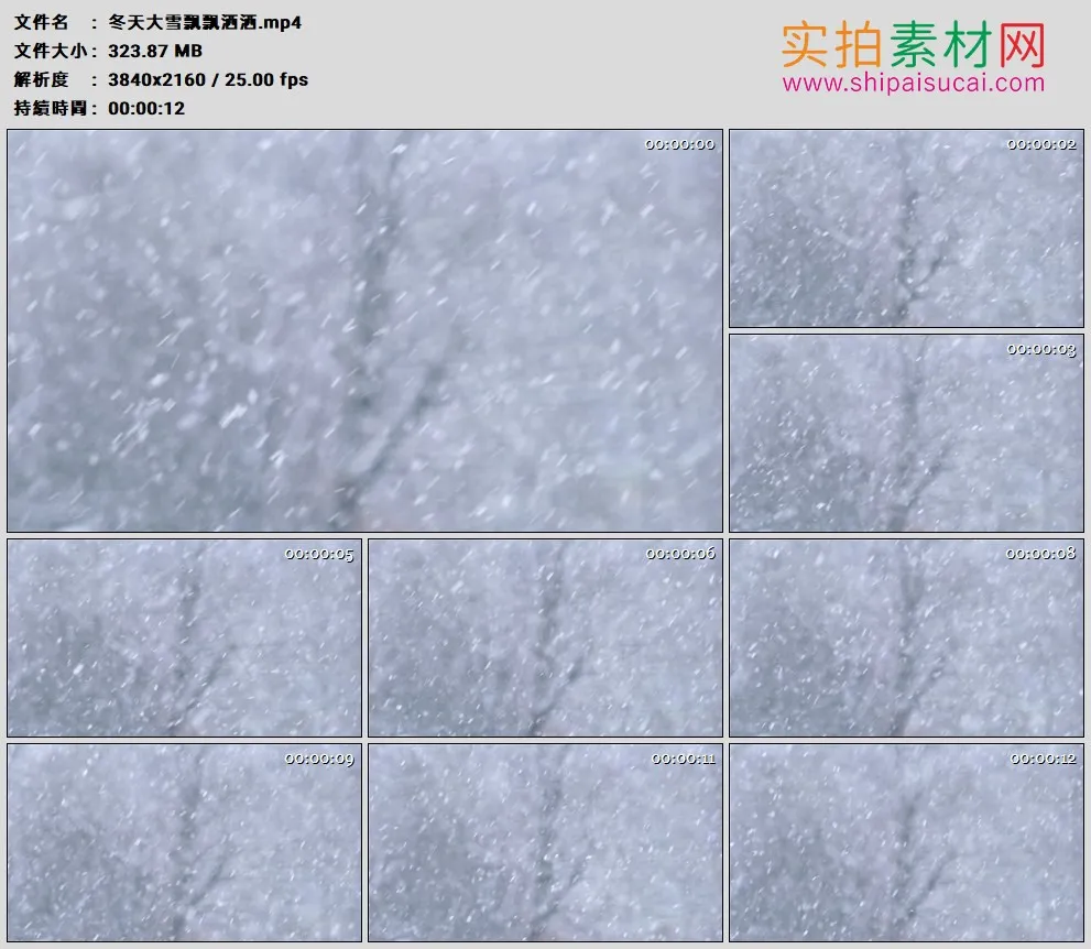 4K高清实拍视频素材丨冬天大雪飘飘洒洒