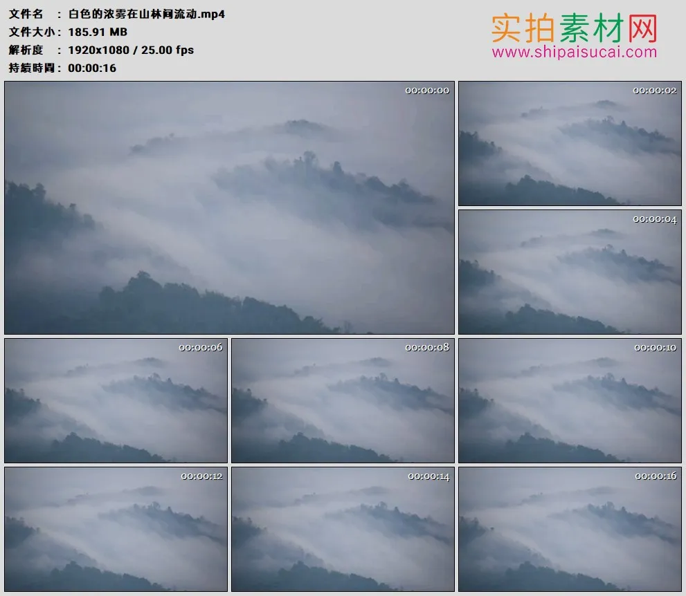高清实拍视频素材丨白色的浓雾在山林间流动