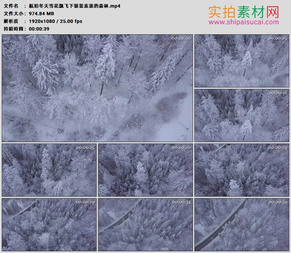 高清实拍视频素材丨航拍冬天雪花飘飞下银装素裹的森林