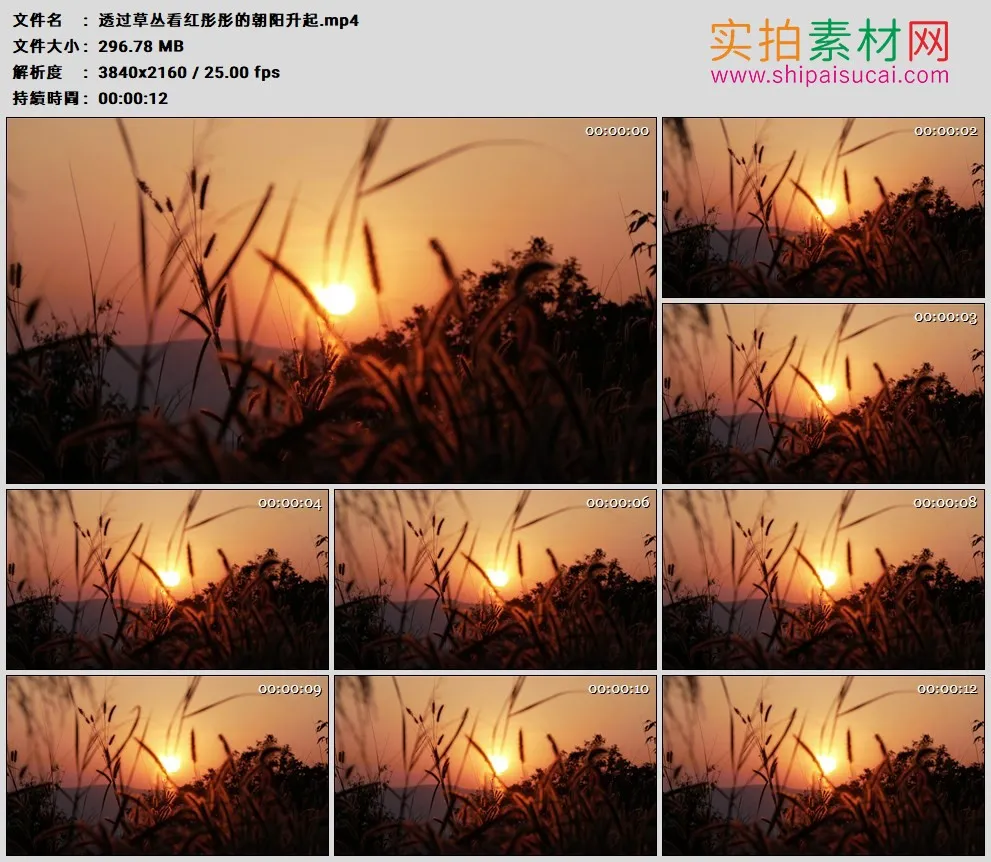 4K高清实拍视频素材丨透过草丛看红彤彤的朝阳升起