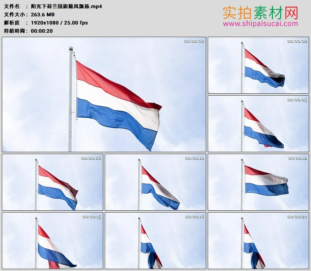 高清实拍视频素材丨阳光下荷兰国旗随风飘扬