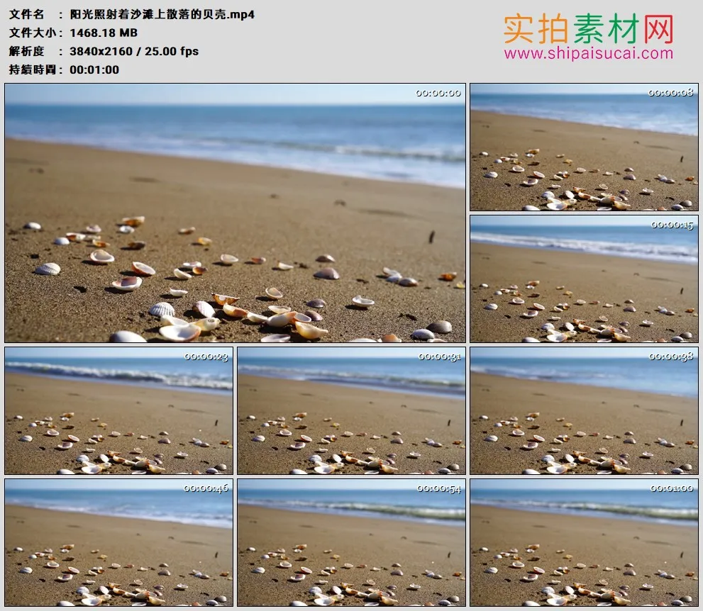 4K高清实拍视频素材丨阳光照射着沙滩上散落的贝壳