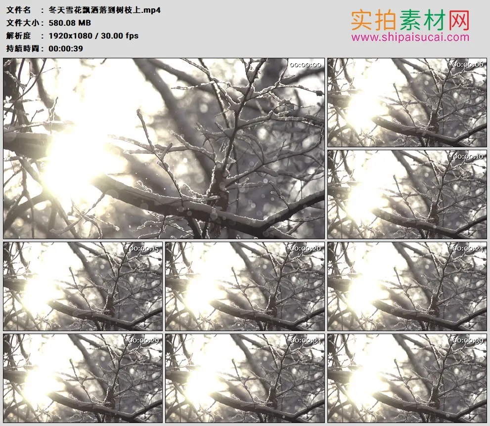 高清实拍视频素材丨冬天雪花飘洒落到树枝上