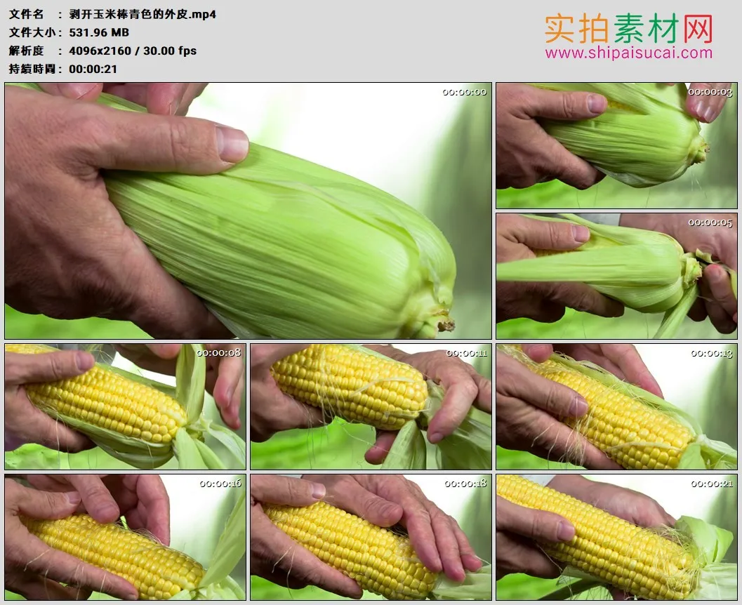 4K高清实拍视频素材丨剥开玉米棒青色的外皮