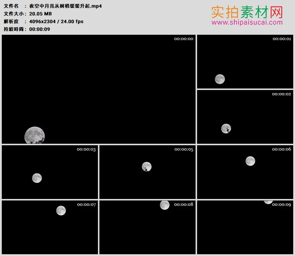 4K高清实拍视频素材丨夜空中月亮从树梢缓缓升起