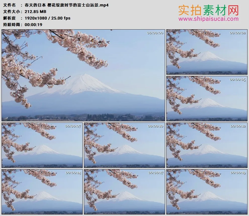 高清实拍视频素材丨春天的日本 樱花绽放时节的富士山远景