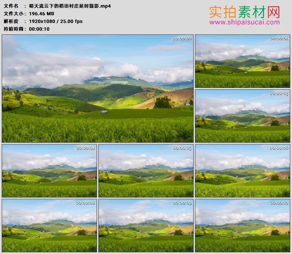 高清实拍视频素材丨晴天流云下的稻田村庄延时摄影