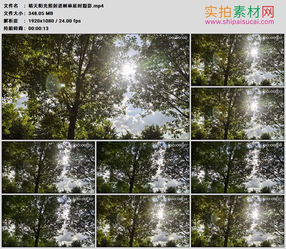 高清实拍视频素材丨晴天阳光照射进树林延时摄影