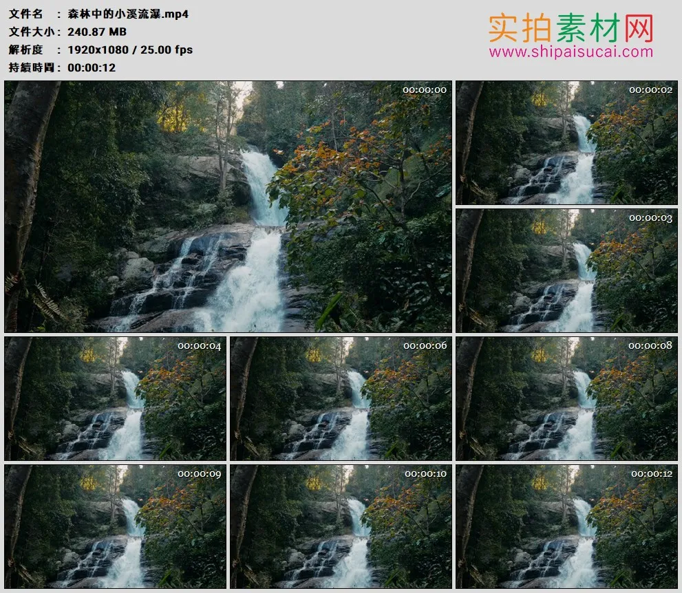 高清实拍视频素材丨森林中的小溪流瀑