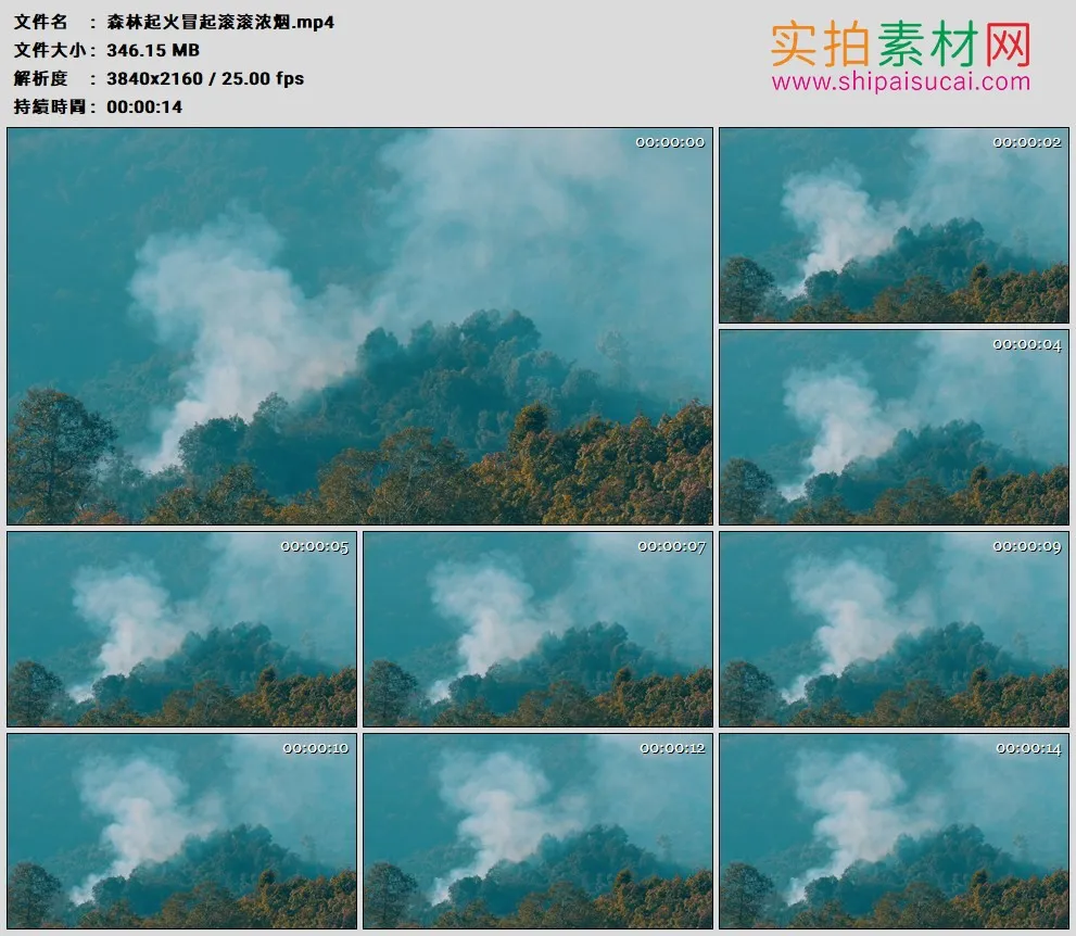 4K高清实拍视频素材丨森林起火冒起滚滚浓烟