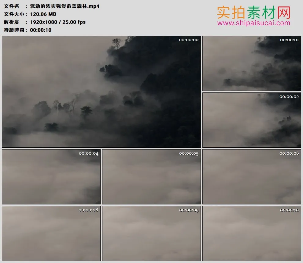 高清实拍视频素材丨流动的浓雾弥漫覆盖森林