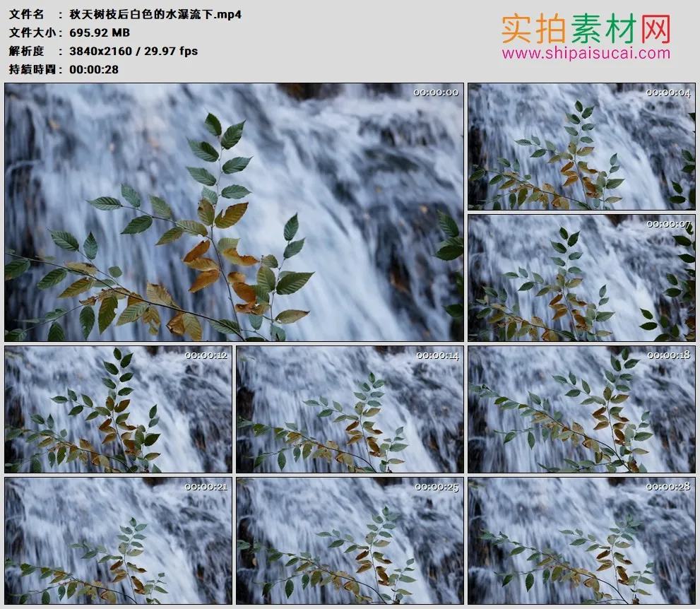 4K高清实拍视频素材丨秋天树枝后白色的水瀑流下