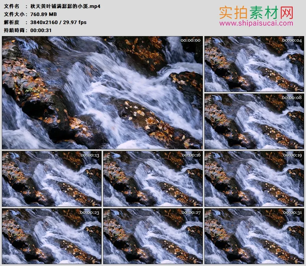 4K高清实拍视频素材丨秋天溪水流过铺着黄叶的潺潺小溪