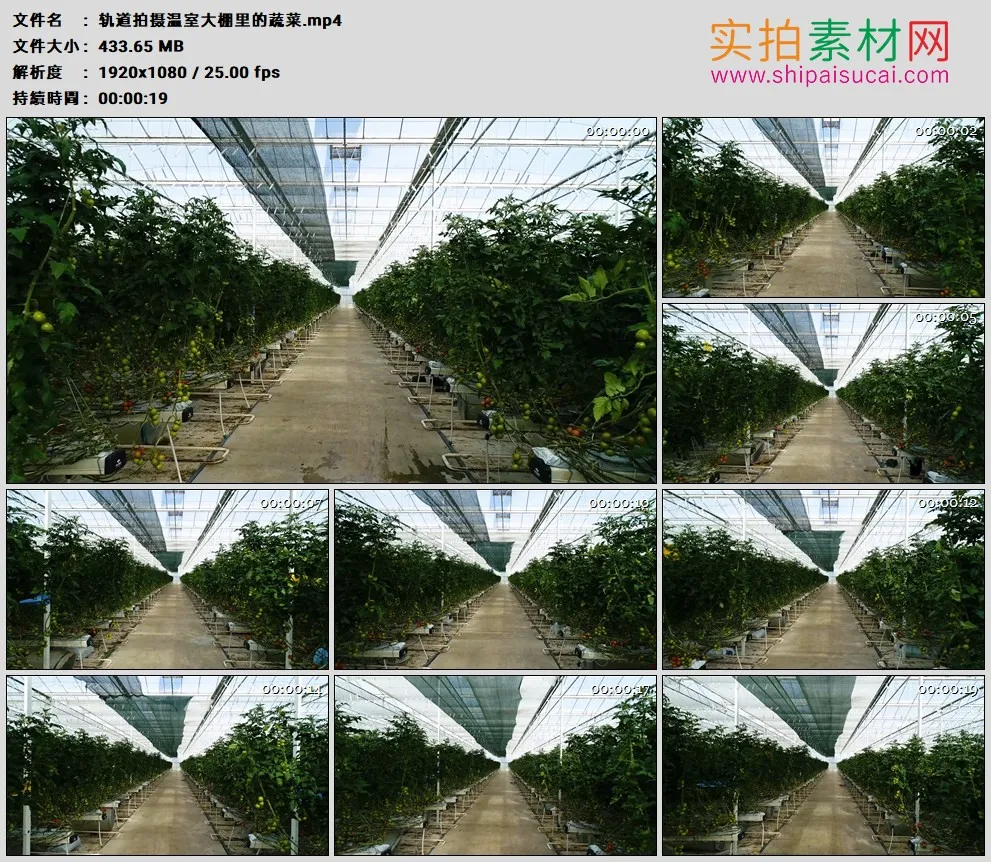 高清实拍视频素材丨轨道拍摄温室大棚里的蔬菜
