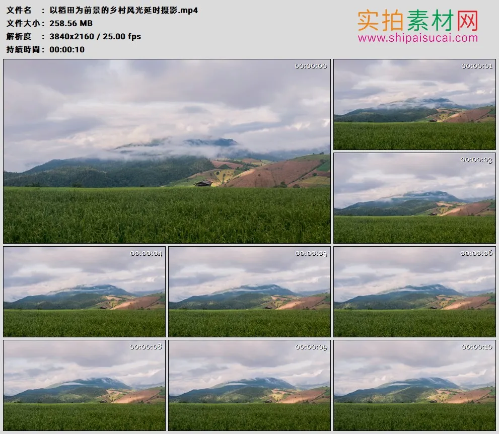 4K高清实拍视频素材丨以稻田为前景的乡村风光延时摄影