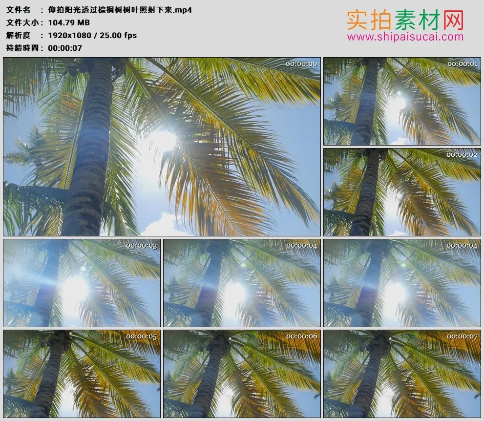 高清实拍视频素材丨仰拍阳光透过棕榈树树叶照射下来
