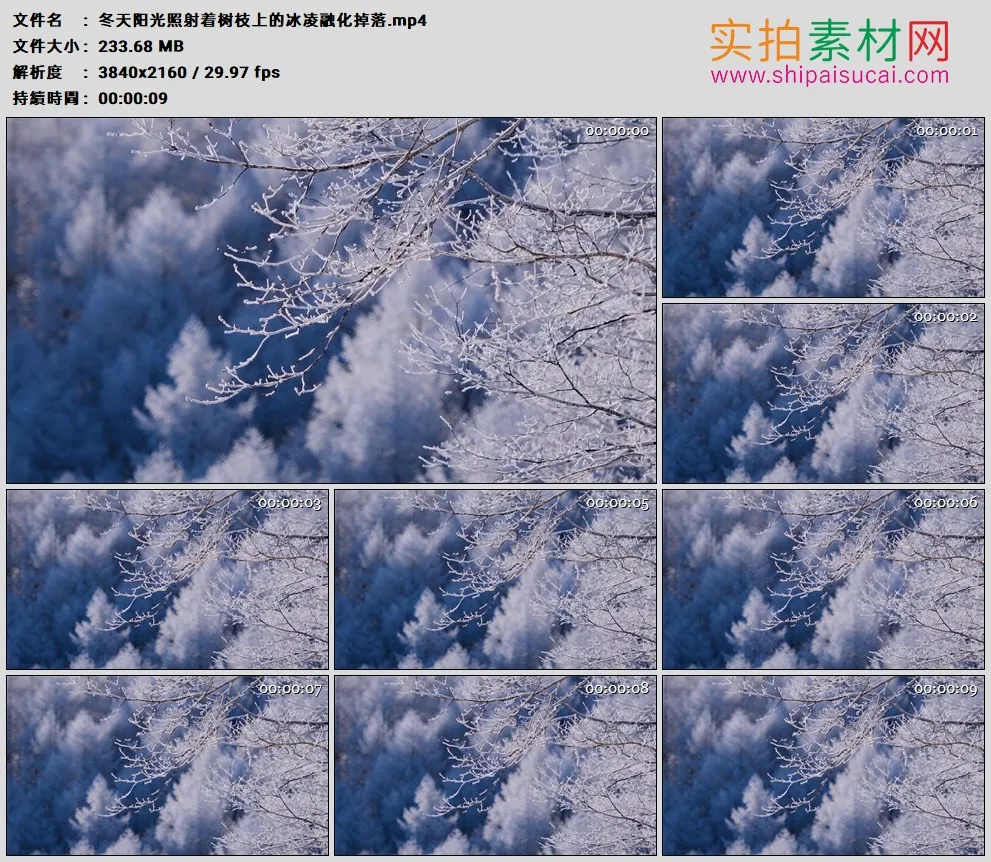 4K高清实拍视频素材丨冬天阳光照射着树枝上的冰凌融化掉落