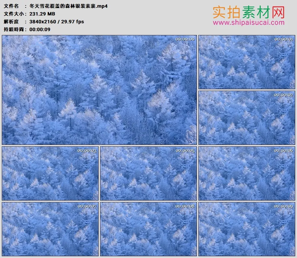 4K高清实拍视频素材丨冬天雪花覆盖的森林银装素裹
