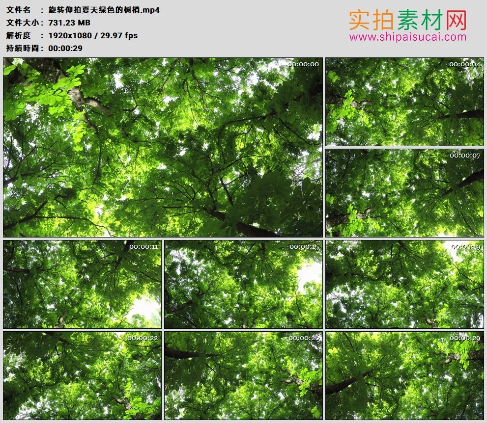 高清实拍视频素材丨旋转仰拍夏天绿色的树叶树梢