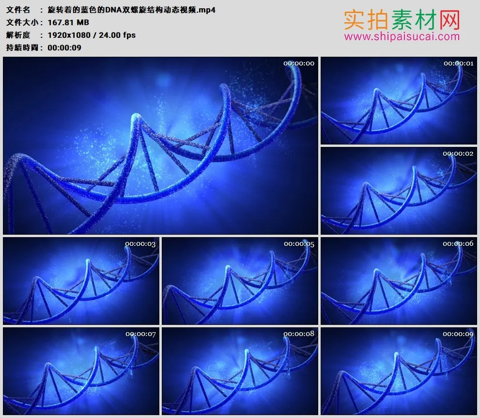 高清动态视频素材丨旋转着的蓝色的DNA双螺旋结构动态视频