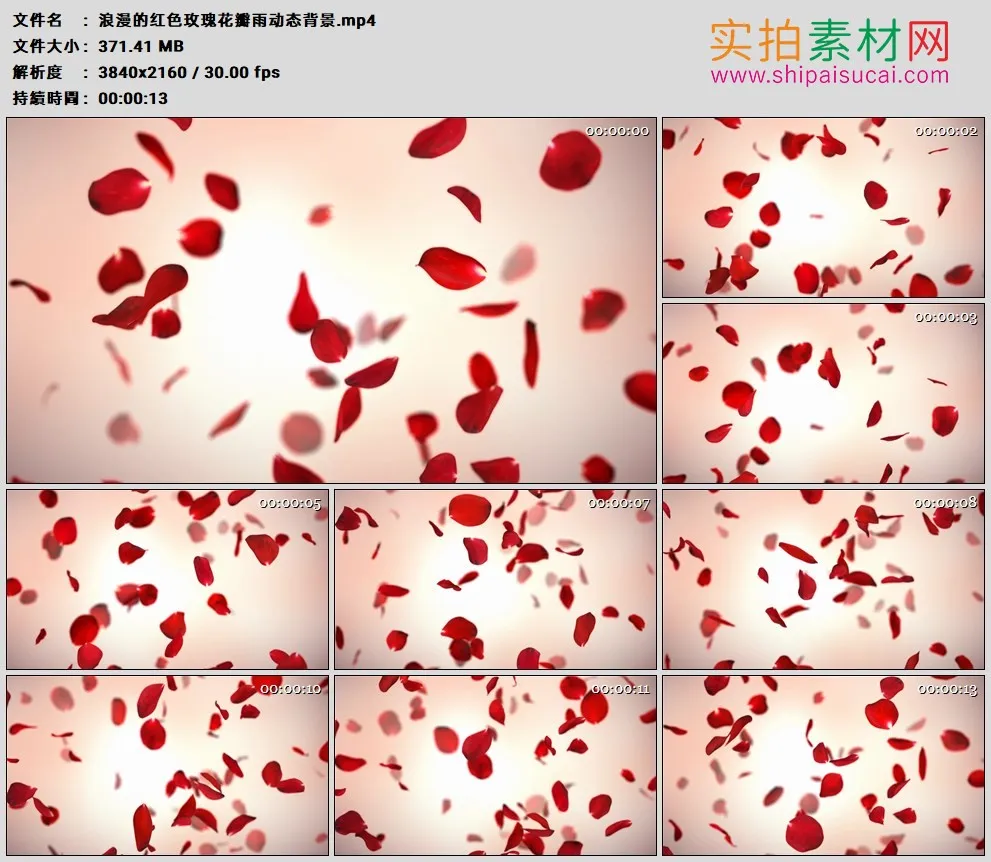 4K高清实拍视频素材丨浪漫的红色玫瑰花瓣雨动态背景