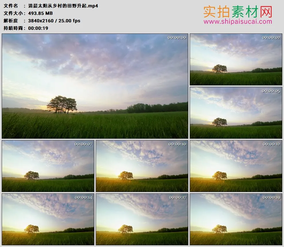 4K高清实拍视频素材丨清晨太阳从乡村的田野升起
