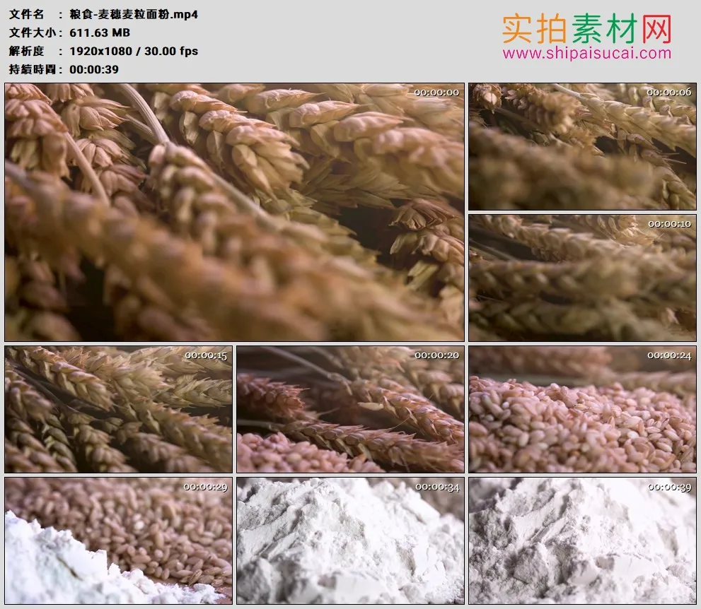 高清实拍视频素材丨粮食-麦穗麦粒面粉