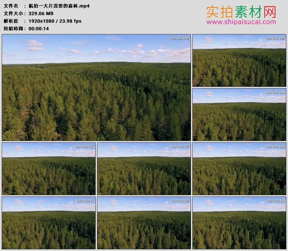 高清实拍视频素材丨航拍一大片茂密的森林