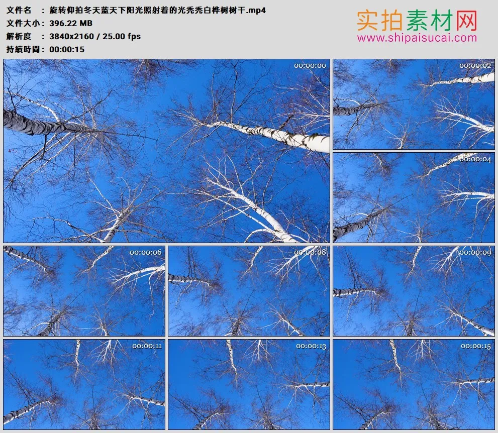 4K高清实拍视频素材丨旋转仰拍冬天蓝天下阳光照射着的光秃秃白桦树树干