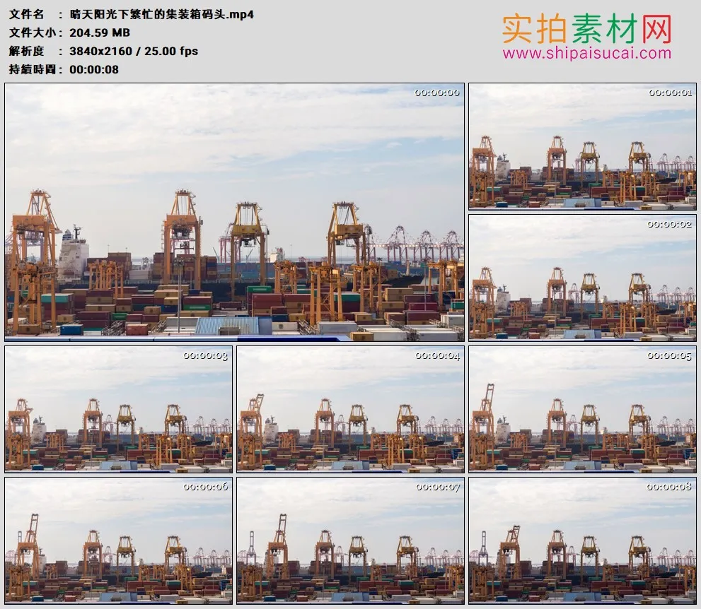 4K高清实拍视频素材丨晴天阳光下繁忙的集装箱码头