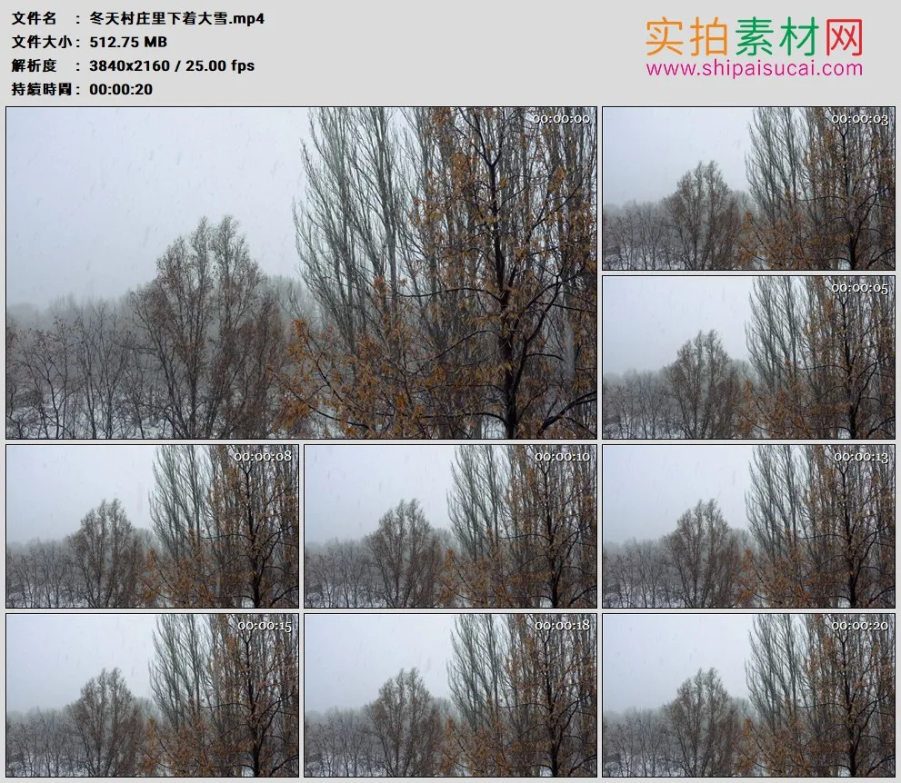 4K高清实拍视频素材丨冬天村庄里下着大雪