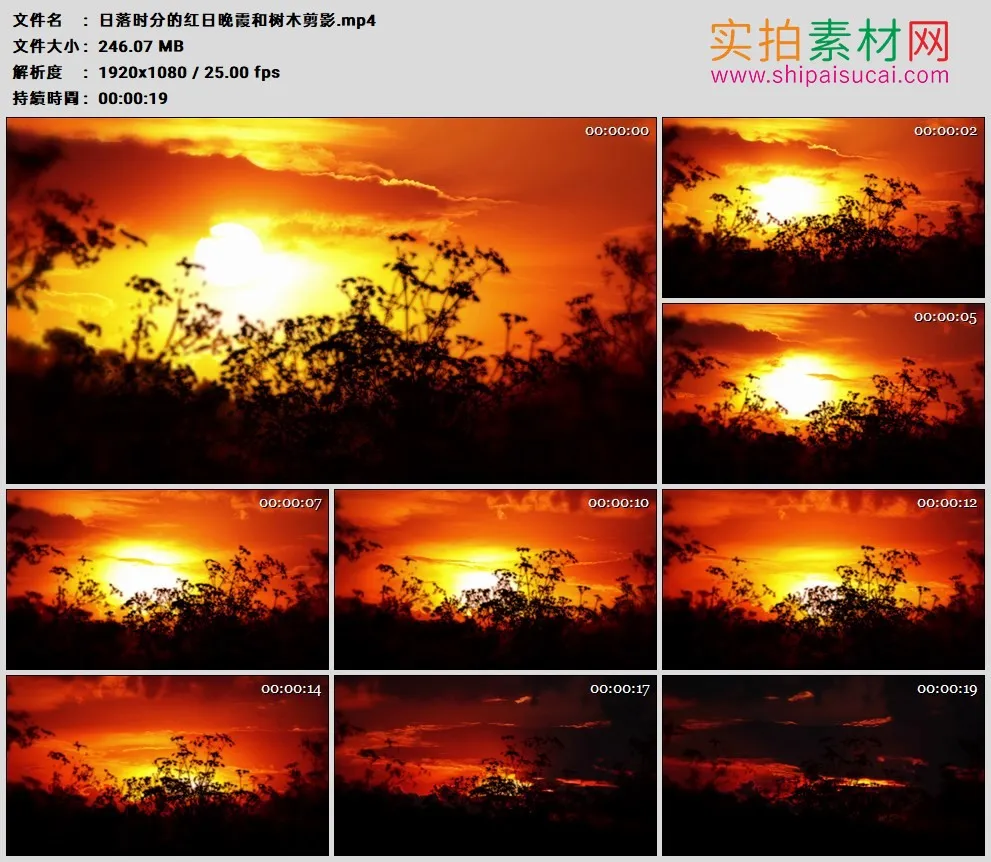 高清实拍视频素材丨日落时分的红日晚霞和树木剪影