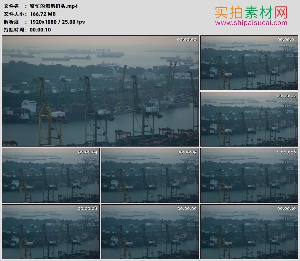 高清实拍视频素材丨繁忙的海港码头