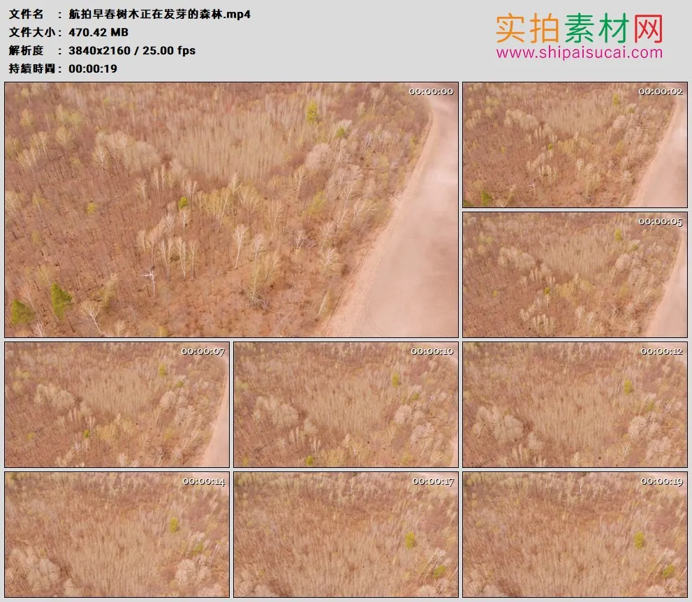 4K高清实拍视频素材丨航拍早春树木正在发芽的森林