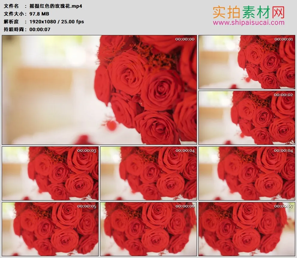 高清实拍视频素材丨摇摄红色的玫瑰花