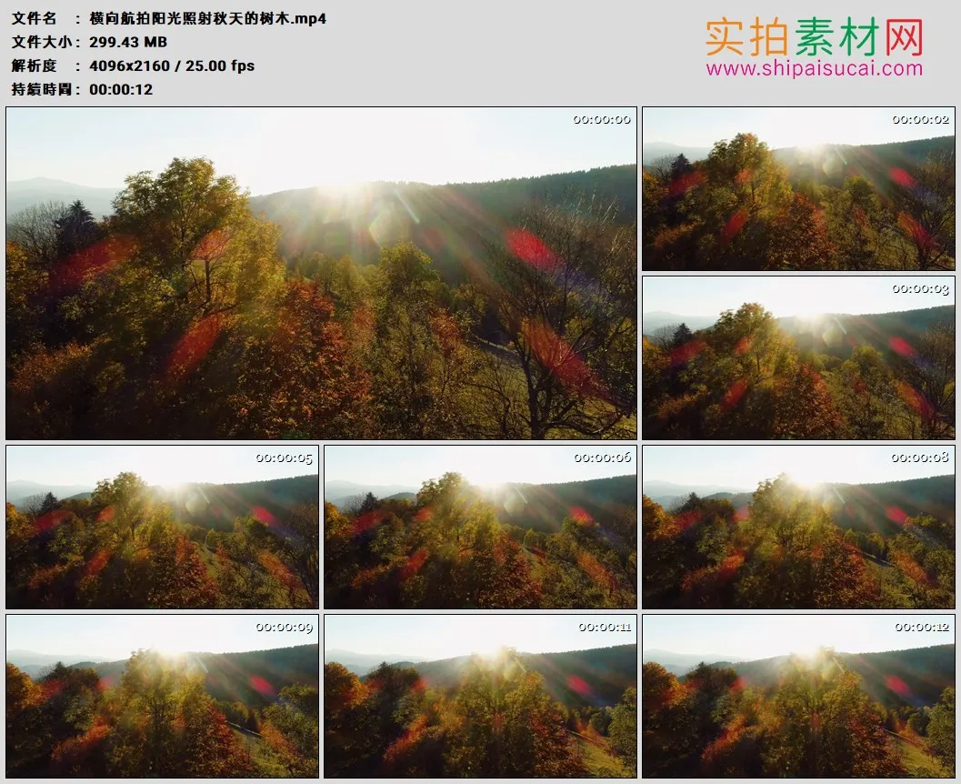 4K高清实拍视频素材丨横向航拍阳光照射秋天的树木