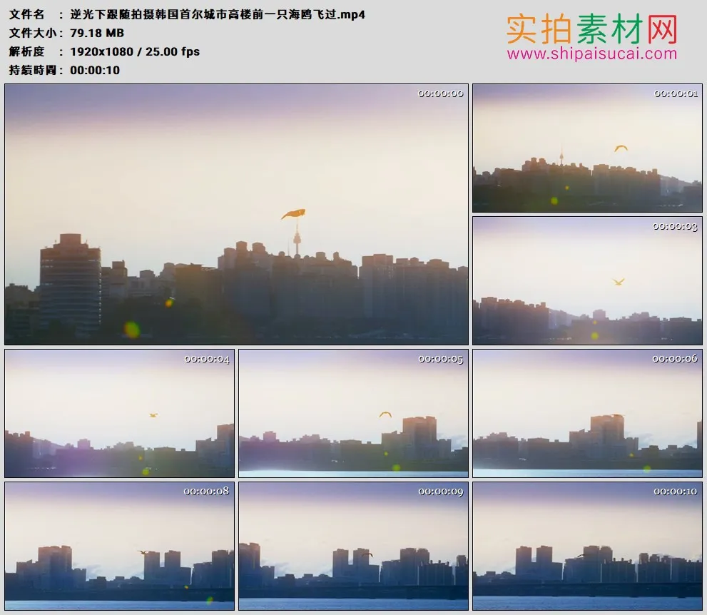 高清实拍视频素材丨逆光下跟随拍摄韩国首尔城市高楼前一只海鸥飞过
