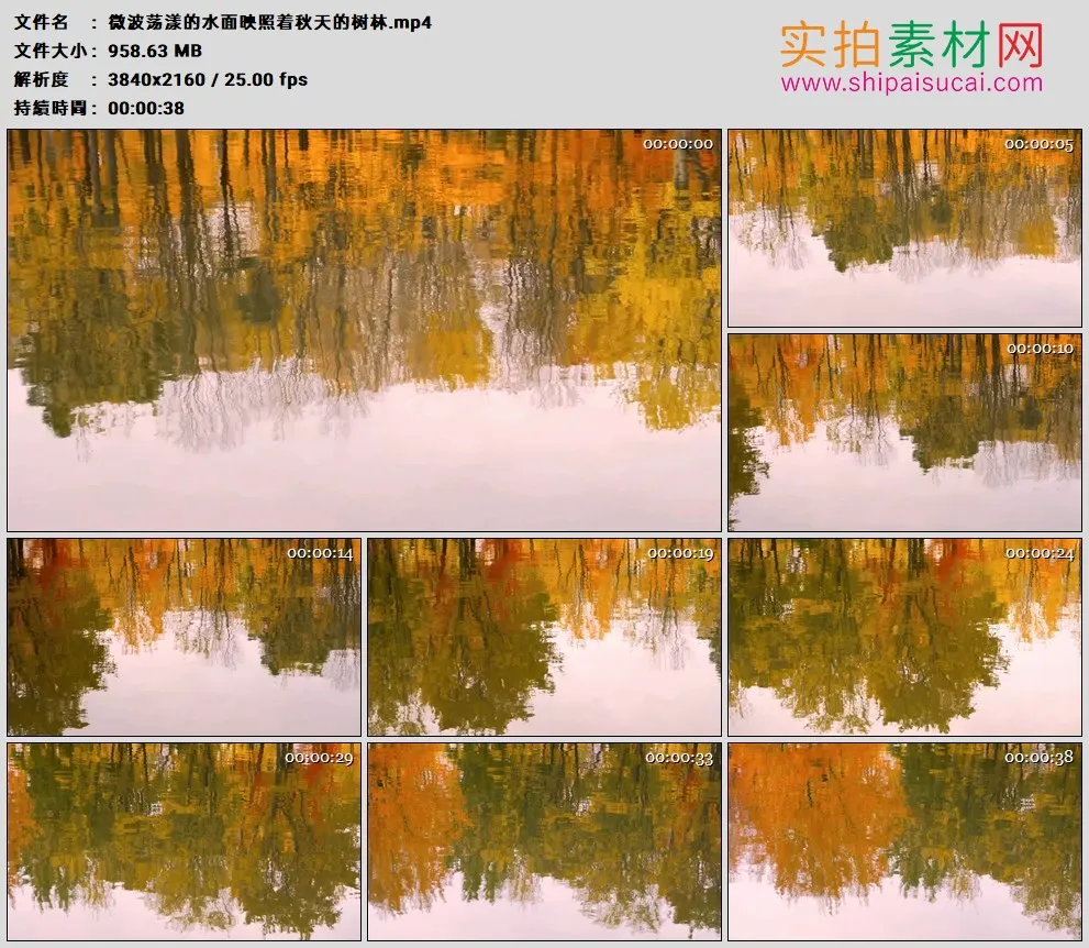 4K高清实拍视频素材丨微波荡漾的水面映照着秋天的树林