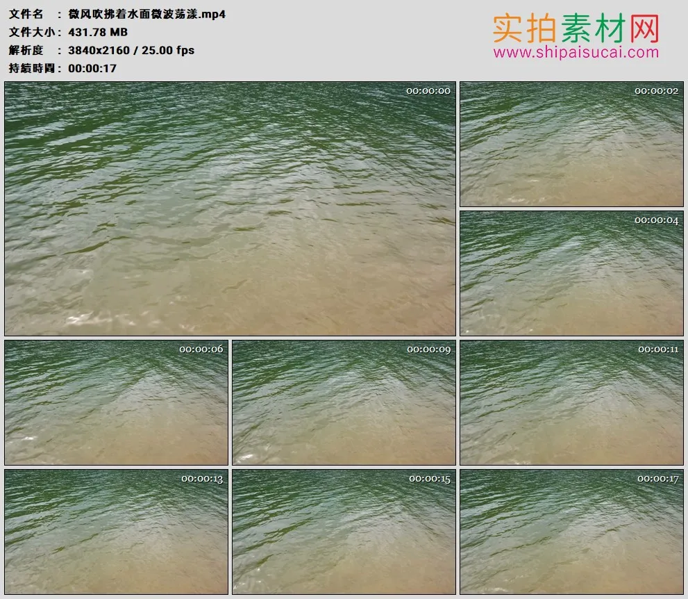 4K高清实拍视频素材丨微风吹拂着水面微波荡漾