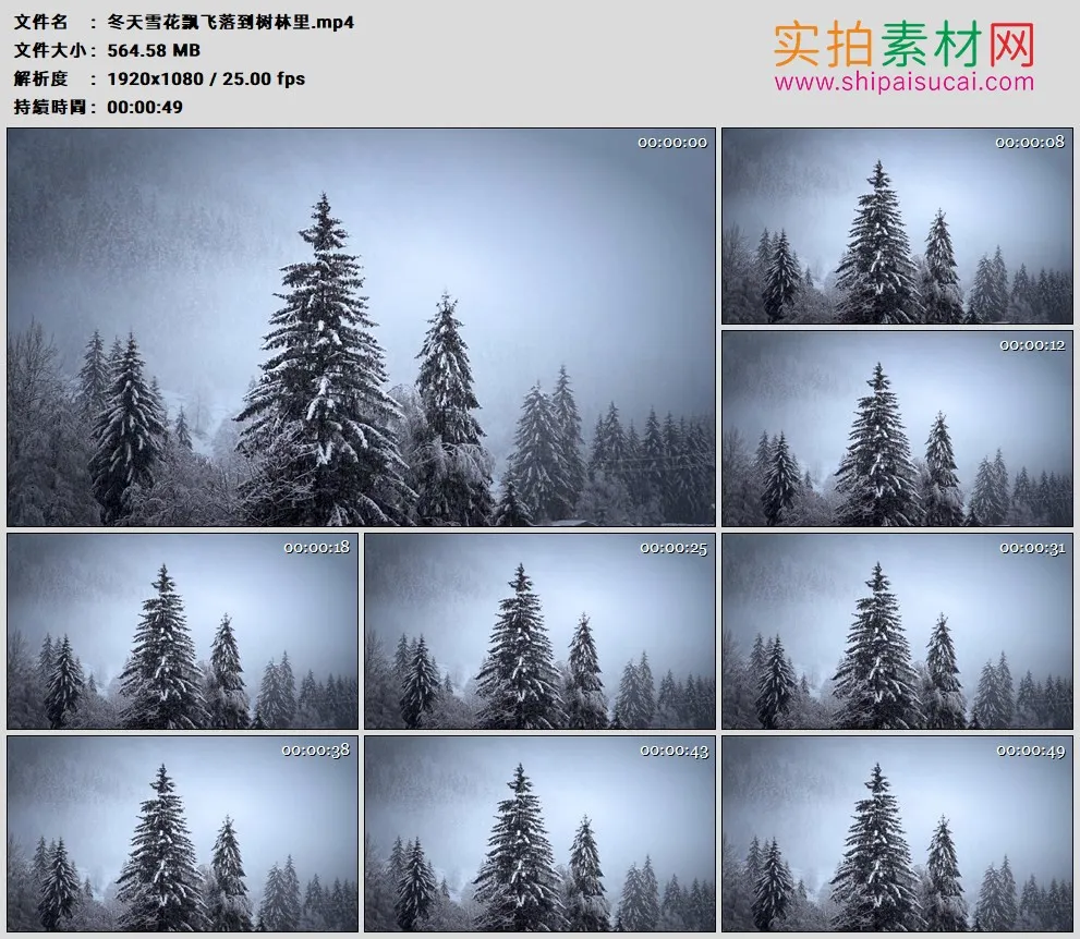 高清实拍视频素材丨冬天雪花飘飞落到树林里