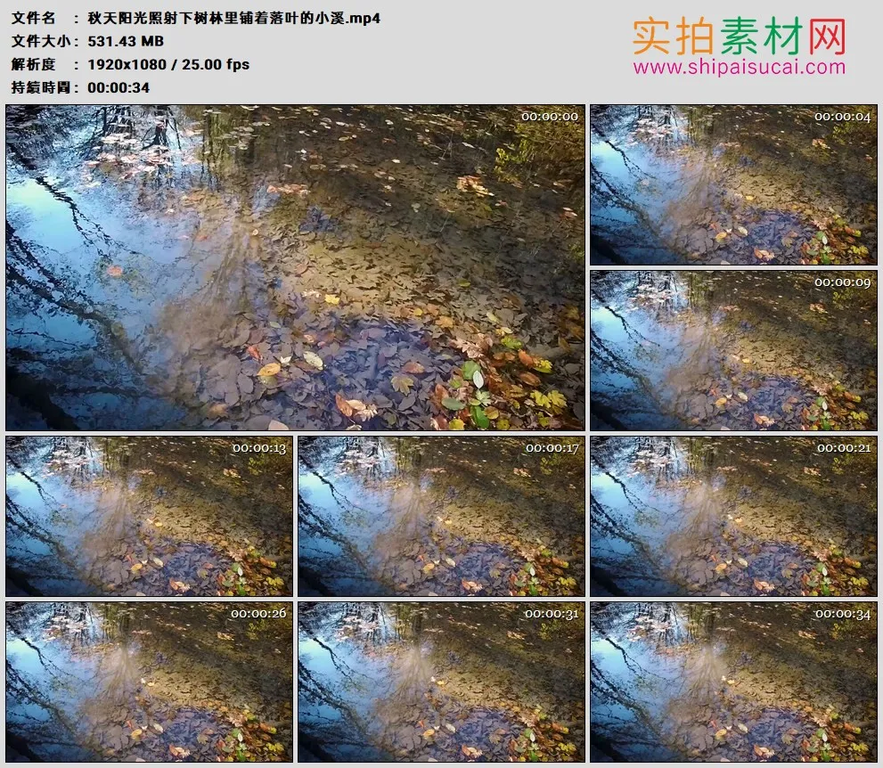 高清实拍视频素材丨秋天阳光照射下树林里铺着落叶的小溪