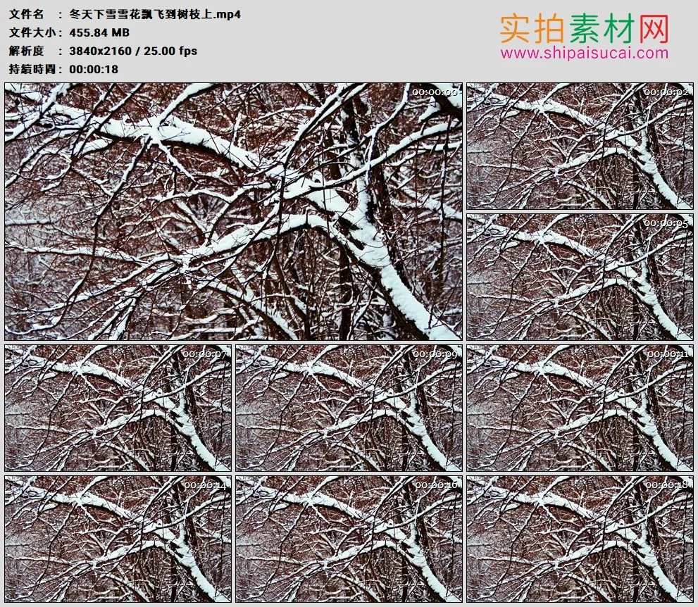 4K高清实拍视频素材丨冬天下雪雪花飘飞到树枝上